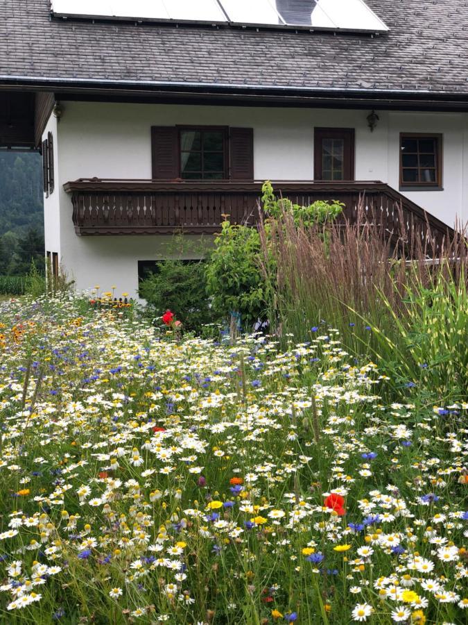 Ferienwohnung Lassendorf Hermagor-Pressegger See Luaran gambar