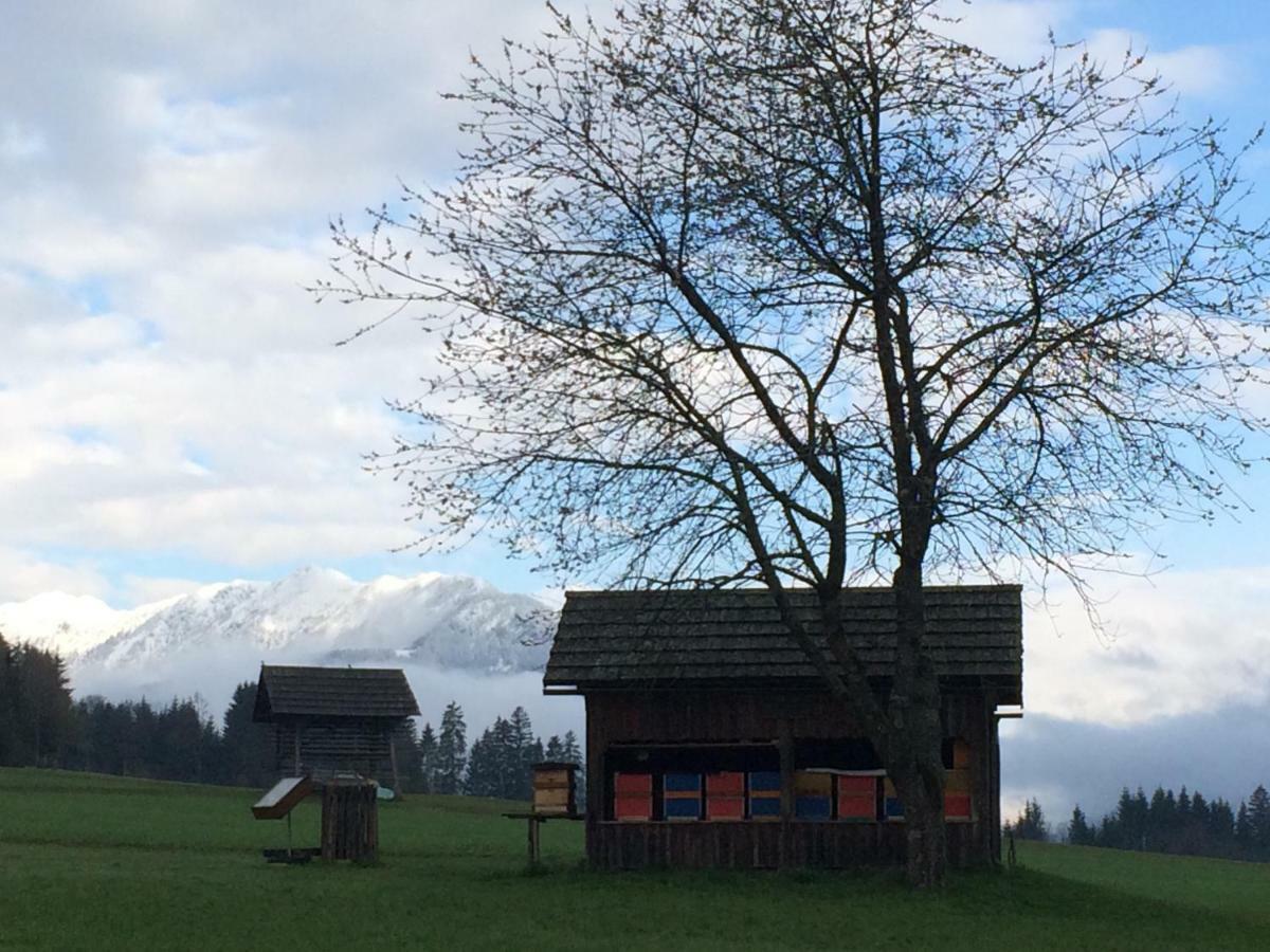 Ferienwohnung Lassendorf Hermagor-Pressegger See Luaran gambar